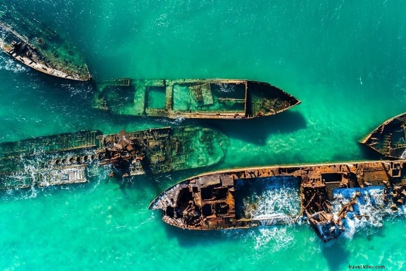 Discover 63 Unmissable Things to Do in Brisbane, Australia