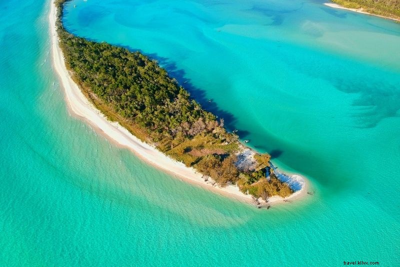 Discover 63 Unmissable Things to Do in Brisbane, Australia