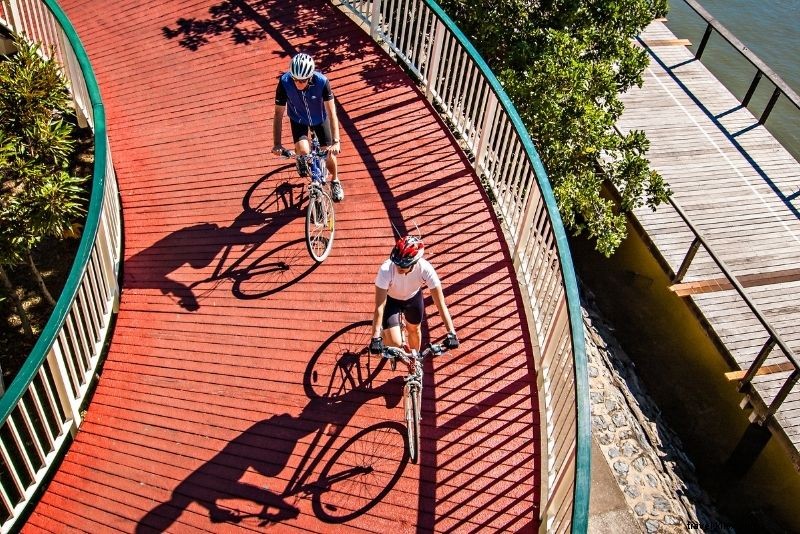 Discover 63 Unmissable Things to Do in Brisbane, Australia