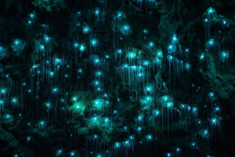 Discover 63 Unmissable Things to Do in Brisbane, Australia