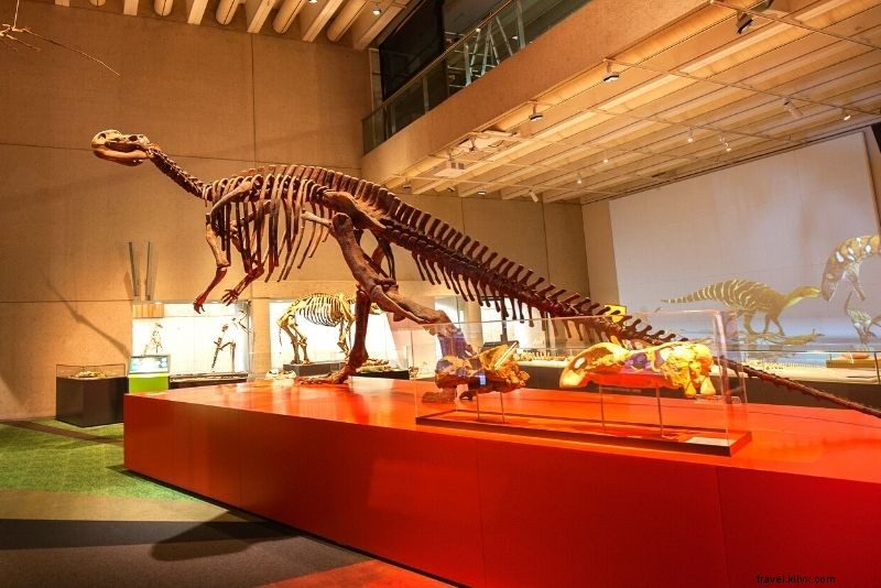 Discover 63 Unmissable Things to Do in Brisbane, Australia