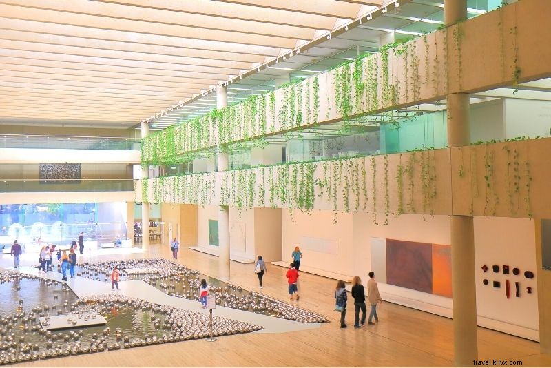 Discover 63 Unmissable Things to Do in Brisbane, Australia