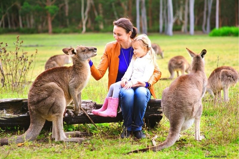 Discover 63 Unmissable Things to Do in Brisbane, Australia