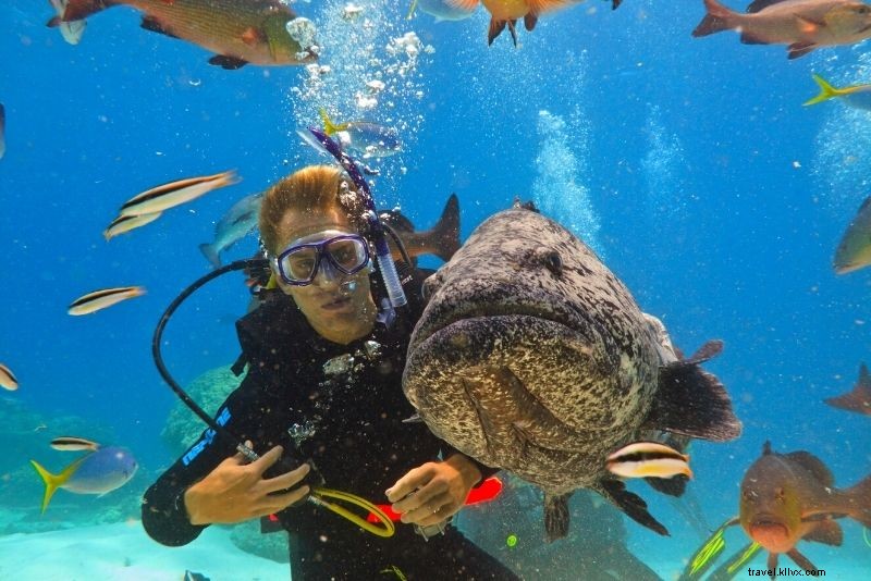 Discover 30 Unmissable Things to Do in Airlie Beach, Queensland