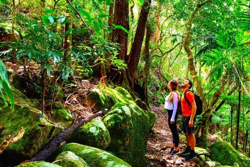 Discover 30 Unmissable Things to Do in Airlie Beach, Queensland