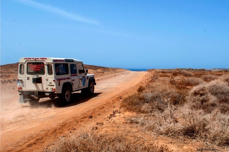37 Fun & Unusual Things to Do in Lanzarote: Discover Hidden Island Adventures