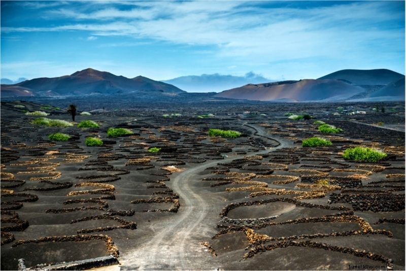 37 Fun & Unusual Things to Do in Lanzarote: Discover Hidden Island Adventures
