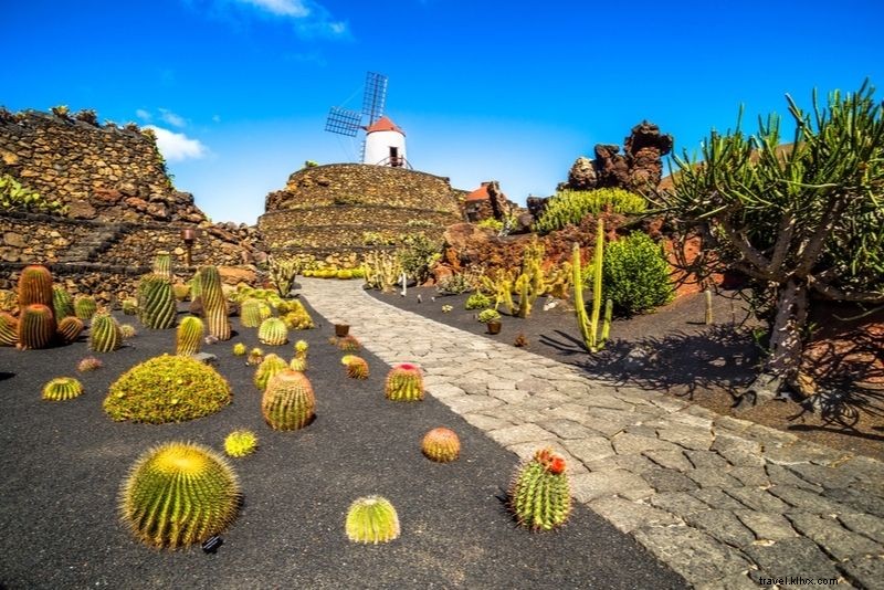 37 Fun & Unusual Things to Do in Lanzarote: Discover Hidden Island Adventures