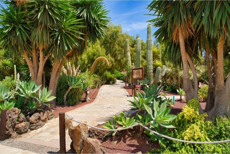 37 Fun & Unusual Things to Do in Lanzarote: Discover Hidden Island Adventures