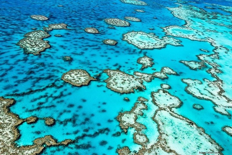 Discover 56 Exciting Things to Do in Cairns: Ultimate Guide to Fun Adventures