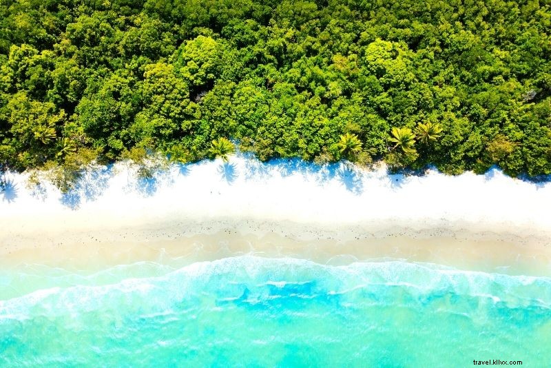 Discover 56 Exciting Things to Do in Cairns: Ultimate Guide to Fun Adventures