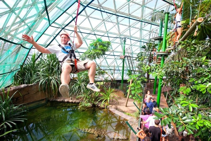 Discover 56 Exciting Things to Do in Cairns: Ultimate Guide to Fun Adventures