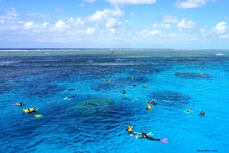 Discover 56 Exciting Things to Do in Cairns: Ultimate Guide to Fun Adventures