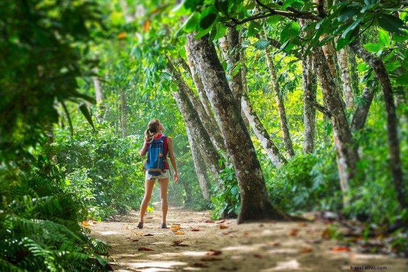 Discover 56 Exciting Things to Do in Cairns: Ultimate Guide to Fun Adventures