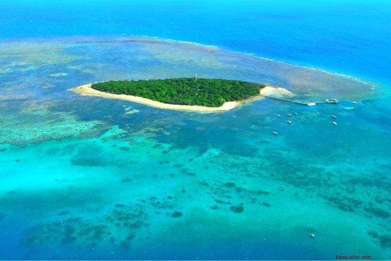 Discover 56 Exciting Things to Do in Cairns: Ultimate Guide to Fun Adventures