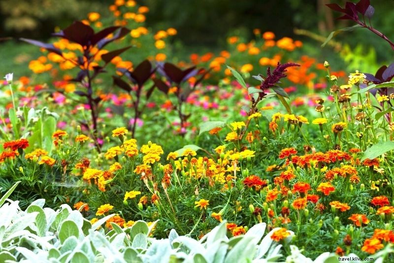 Discover 56 Exciting Things to Do in Cairns: Ultimate Guide to Fun Adventures