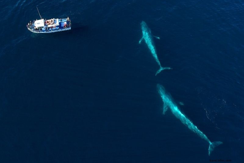 Discover 100 Fun & Unusual Things to Do in Los Angeles: Ultimate Guide