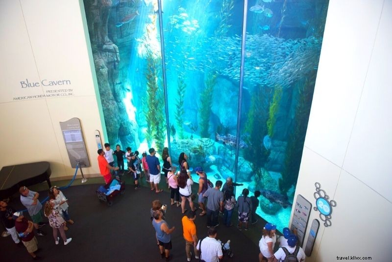 Discover 100 Fun & Unusual Things to Do in Los Angeles: Ultimate Guide