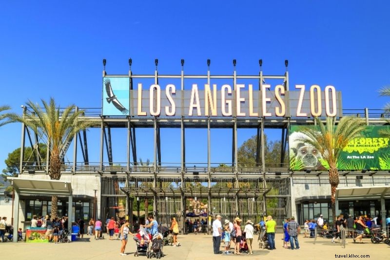 Discover 100 Fun & Unusual Things to Do in Los Angeles: Ultimate Guide