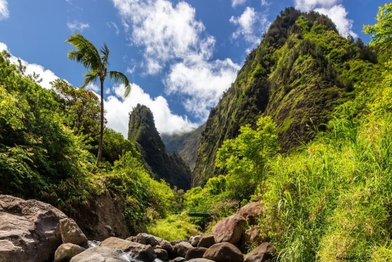 63 Epic Things to Do in Maui, Hawaii: Ultimate Island Adventure Guide