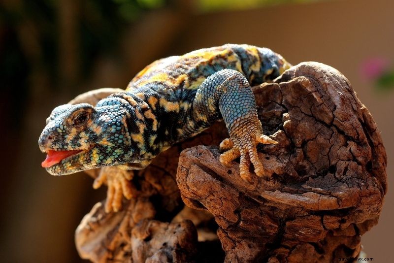 Discover 36 Fun & Unusual Things to Do in Crete: Ultimate Guide