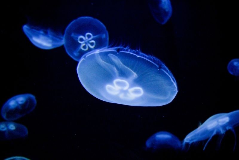 Discover 36 Fun & Unusual Things to Do in Crete: Ultimate Guide