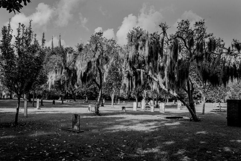 Top 11 Best Ghost Tours in Savannah, Georgia: Ultimate Haunted Adventures