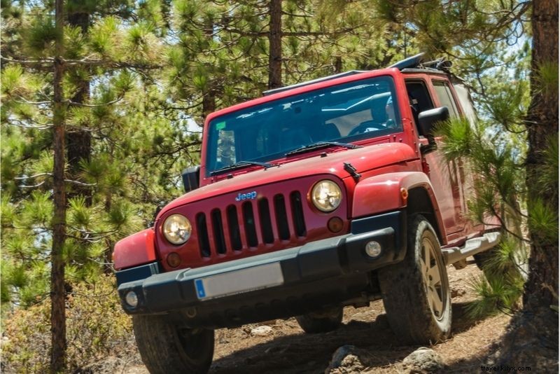 Discover 40 Unique and Unusual Things to Do in Tenerife