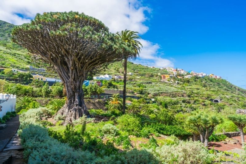 Discover 40 Unique and Unusual Things to Do in Tenerife