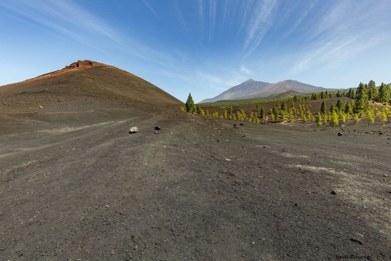 Discover 40 Unique and Unusual Things to Do in Tenerife