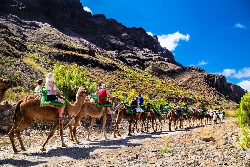 Discover 30 Exciting Things to Do in Gran Canaria: Beaches, Adventures & Hidden Gems