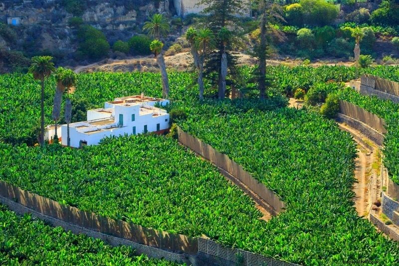 Discover 30 Exciting Things to Do in Gran Canaria: Beaches, Adventures & Hidden Gems