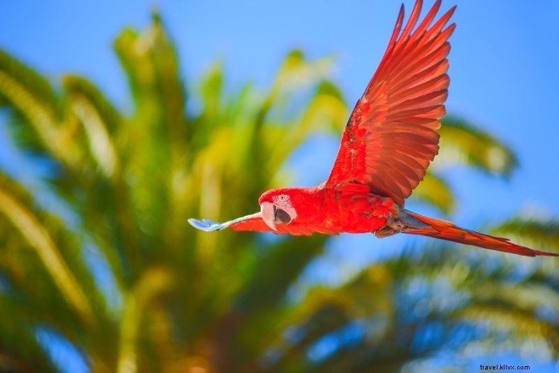 Discover 30 Exciting Things to Do in Gran Canaria: Beaches, Adventures & Hidden Gems