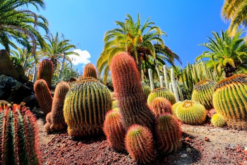 Discover 30 Exciting Things to Do in Gran Canaria: Beaches, Adventures & Hidden Gems