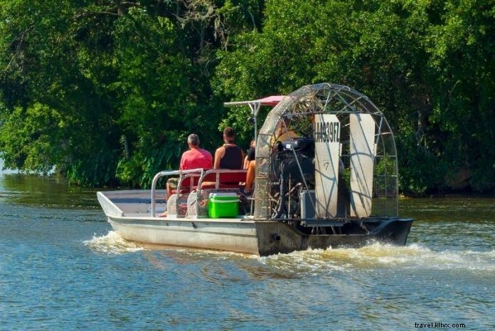 Top 16 New Orleans Swamp Tours: Alligators, Plantations & Bayou Adventures