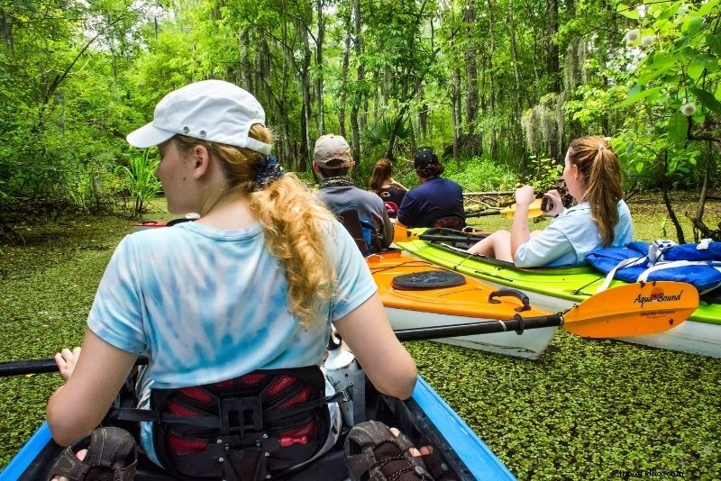 Top 16 New Orleans Swamp Tours: Alligators, Plantations & Bayou Adventures