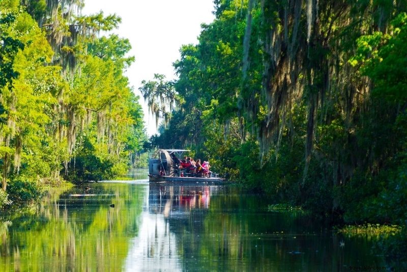 Top 16 New Orleans Swamp Tours: Alligators, Plantations & Bayou Adventures