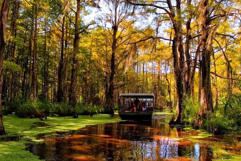 Top 16 New Orleans Swamp Tours: Alligators, Plantations & Bayou Adventures