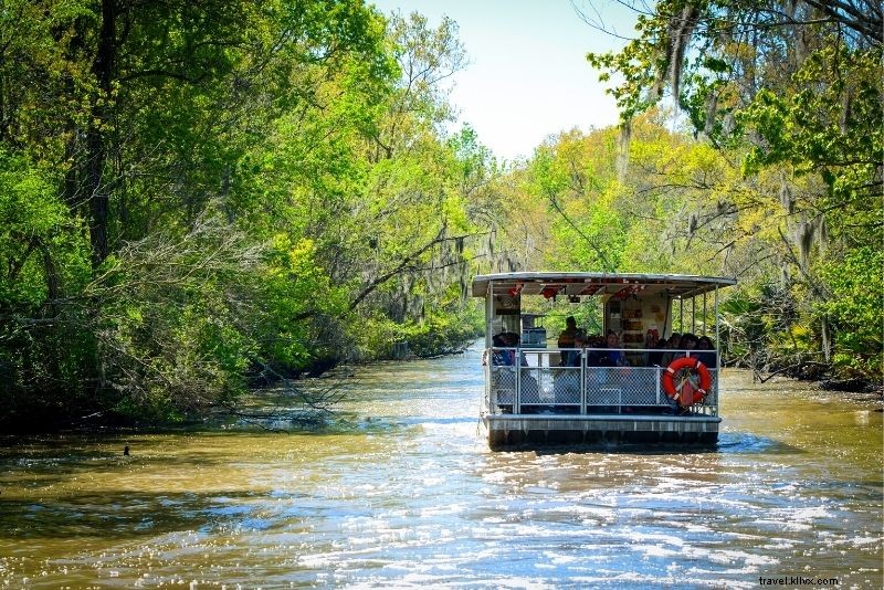 Top 16 New Orleans Swamp Tours: Alligators, Plantations & Bayou Adventures