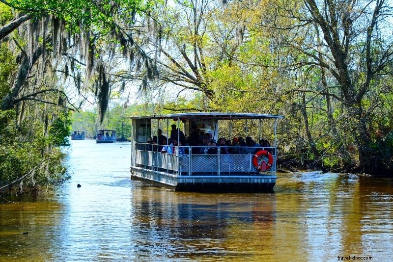 Top 16 New Orleans Swamp Tours: Alligators, Plantations & Bayou Adventures