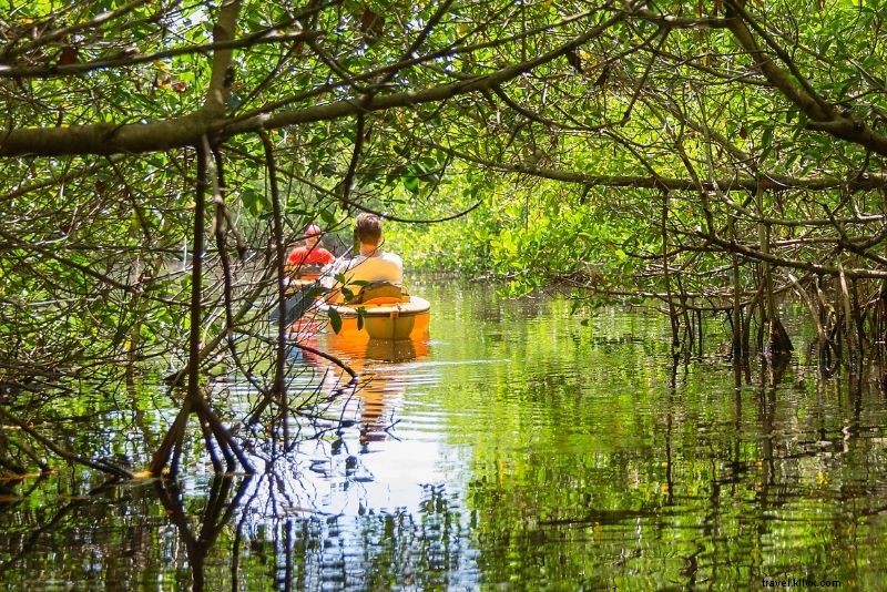 Top 16 New Orleans Swamp Tours: Alligators, Plantations & Bayou Adventures