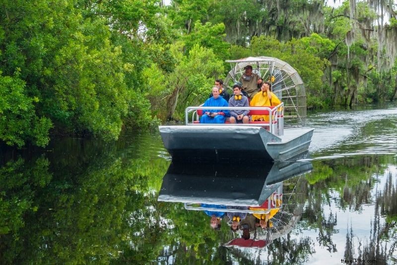 Top 16 New Orleans Swamp Tours: Alligators, Plantations & Bayou Adventures