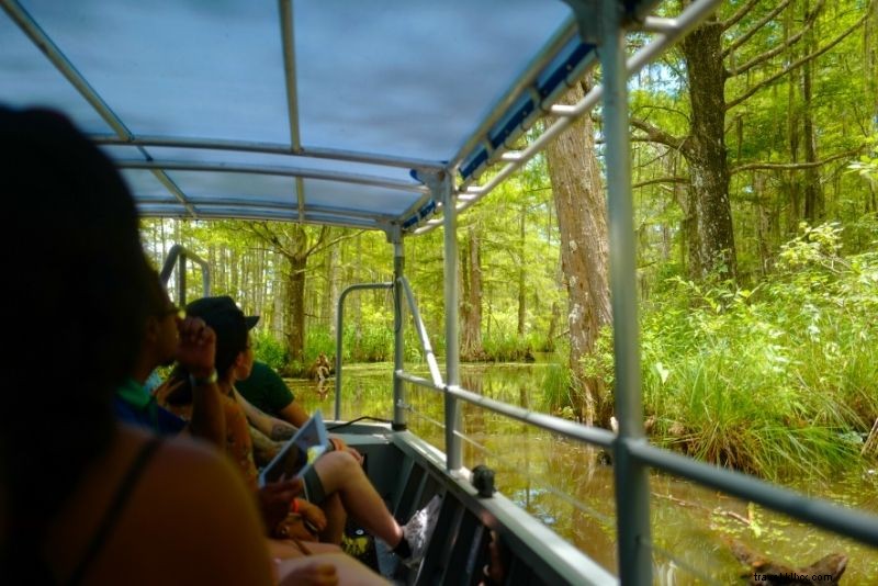 Top 16 New Orleans Swamp Tours: Alligators, Plantations & Bayou Adventures