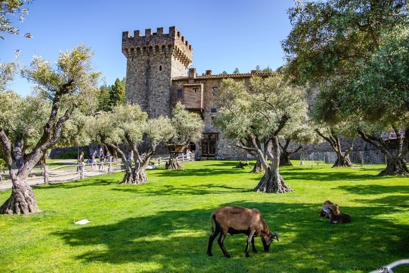 Top 18 Napa Valley Wine Tours: Ultimate Guide to Vineyards & Unforgettable Tastings