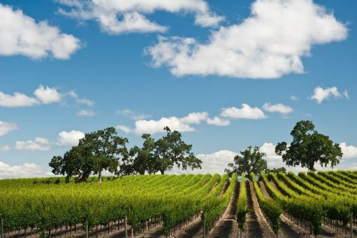 Top 18 Napa Valley Wine Tours: Ultimate Guide to Vineyards & Unforgettable Tastings