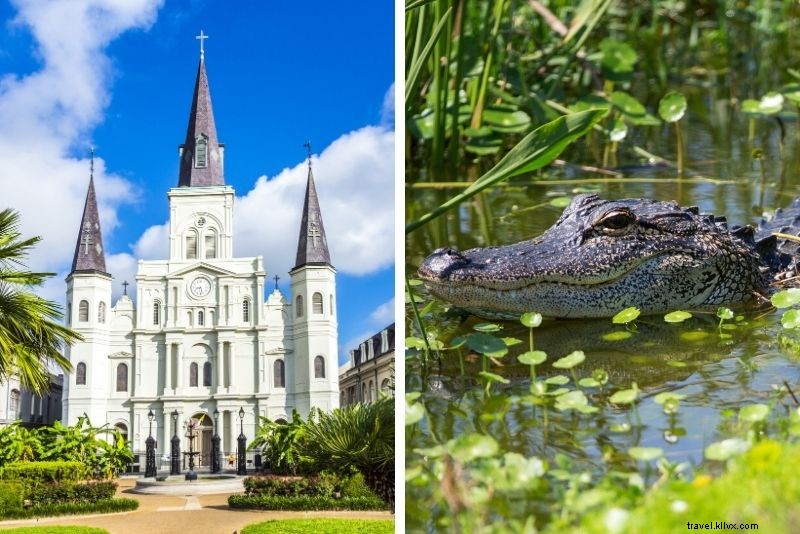 Top 16 New Orleans Swamp Tours: Alligators, Plantations & Bayou Adventures