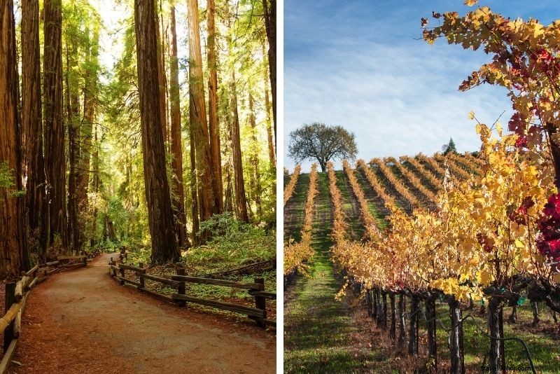 Top 18 Napa Valley Wine Tours: Ultimate Guide to Vineyards & Unforgettable Tastings