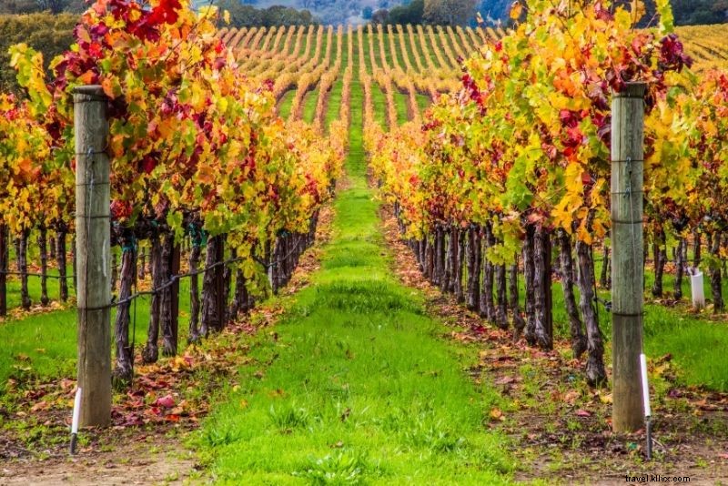 Top 18 Napa Valley Wine Tours: Ultimate Guide to Vineyards & Unforgettable Tastings