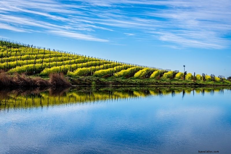 Top 18 Napa Valley Wine Tours: Ultimate Guide to Vineyards & Unforgettable Tastings