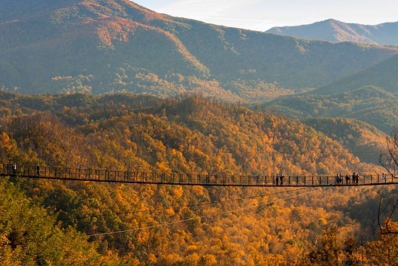 66 Best Things to Do in Pigeon Forge, Tennessee – Ultimate Family Adventure Guide